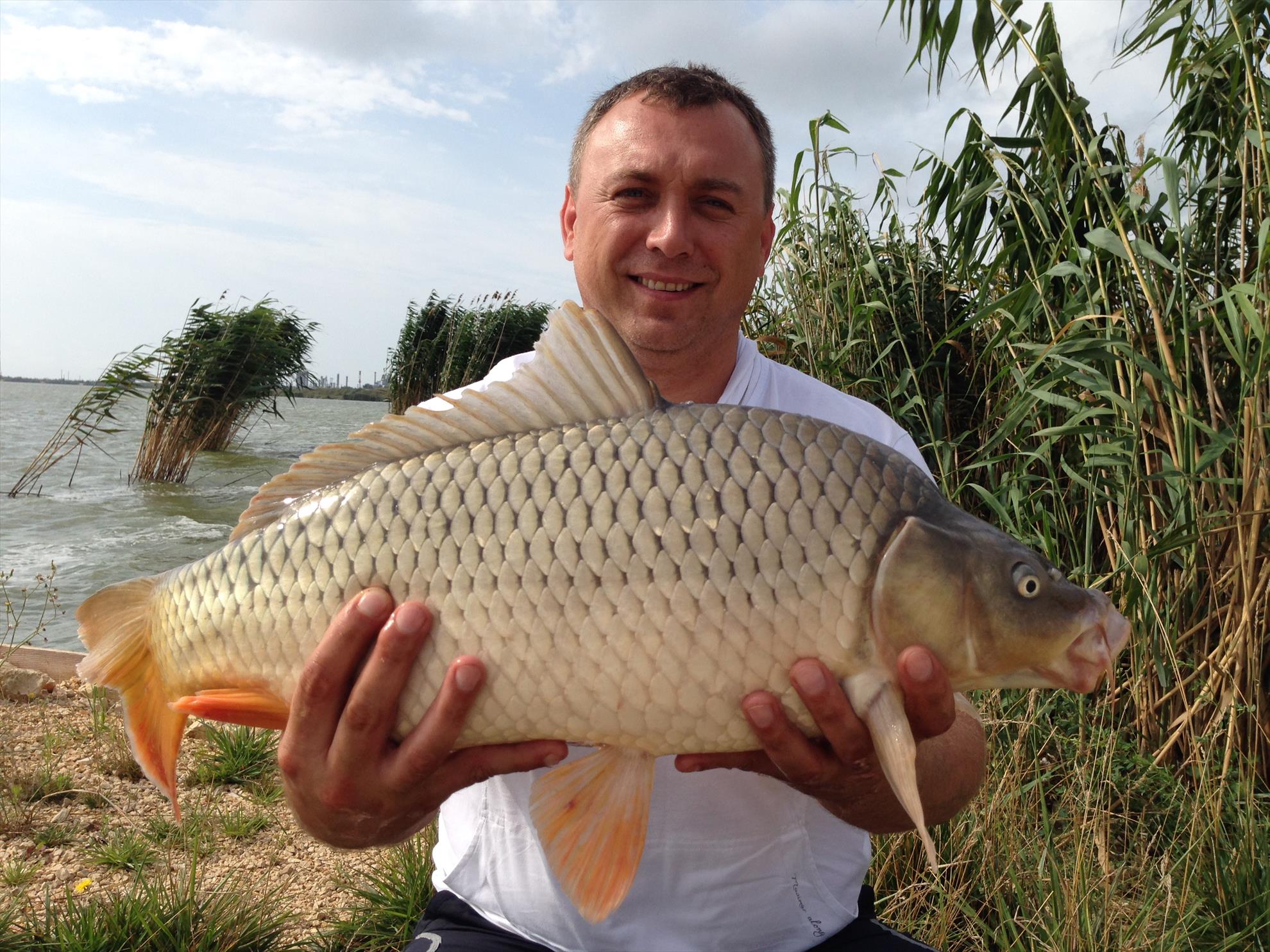 corbu 2015 - img2022.JPG